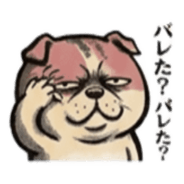 【でっぷりイヌ】太々しい！日常シュール犬 Slack・Teams・Discord カスタム絵文字 4