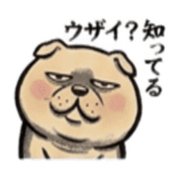 【でっぷりイヌ】太々しい！日常シュール犬 Slack・Teams・Discord カスタム絵文字 5