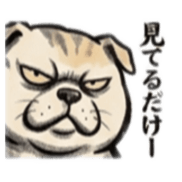 【でっぷりイヌ】太々しい！日常シュール犬 Slack・Teams・Discord カスタム絵文字 16