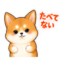 ชิบะซึนเดเระน่ารัก 40 บทสนทนาประจำวัน 23