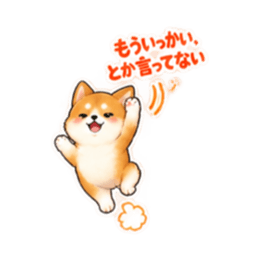 ชิบะซึนเดเระน่ารัก 40 บทสนทนาประจำวัน 27