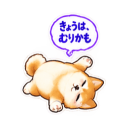 ชิบะซึนเดเระน่ารัก 40 บทสนทนาประจำวัน 33