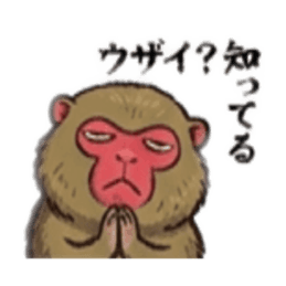 【でっぷり猿】太々しいサル！日常シュール Slack・Teams・Discord カスタム絵文字 14
