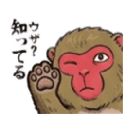 【でっぷり猿】太々しいサル！日常シュール Slack・Teams・Discord カスタム絵文字 16