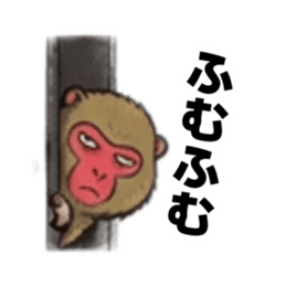【でっぷり猿】太々しいサル！日常シュール Slack・Teams・Discord カスタム絵文字 20