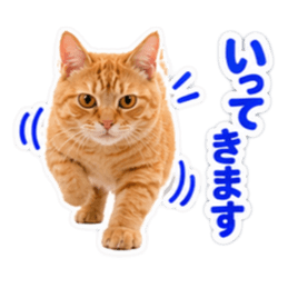 【全40種類】茶トラねこの毎日スタンプにゃ Slack・Teams・Discord カスタム絵文字 4