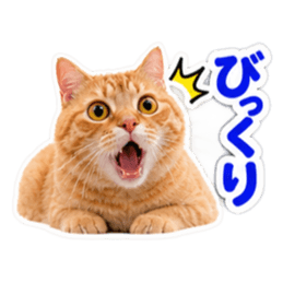 【全40種類】茶トラねこの毎日スタンプにゃ Slack・Teams・Discord カスタム絵文字 16