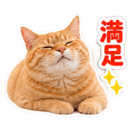 【全40種類】茶トラねこの毎日スタンプにゃ Slack・Teams・Discord カスタム絵文字 18