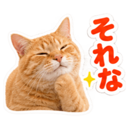 【全40種類】茶トラねこの毎日スタンプにゃ Slack・Teams・Discord カスタム絵文字 23
