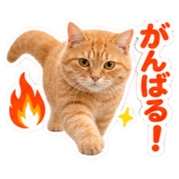 【全40種類】茶トラねこの毎日スタンプにゃ Slack・Teams・Discord カスタム絵文字 30