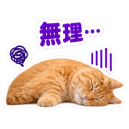 【全40種類】茶トラねこの毎日スタンプにゃ Slack・Teams・Discord カスタム絵文字 31
