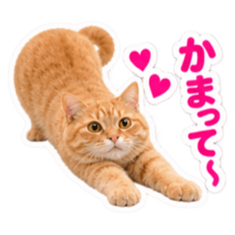 【全40種類】茶トラねこの毎日スタンプにゃ Slack・Teams・Discord カスタム絵文字 32