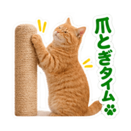 【全40種類】茶トラねこの毎日スタンプにゃ Slack・Teams・Discord カスタム絵文字 38