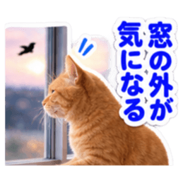 【全40種類】茶トラねこの毎日スタンプにゃ Slack・Teams・Discord カスタム絵文字 40