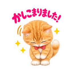 ふんわりタッチの茶トラ猫あいさつ 40種類 Slack・Teams・Discord カスタム絵文字 38