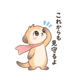 やさしい！ミーアキャット 日常会話 40種類 Slack・Teams・Discord カスタム絵文字 21