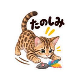 個性派にゃんこの日常 40種類 Slack・Teams・Discord カスタム絵文字 10
