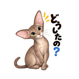 個性派にゃんこの日常 40種類 Slack・Teams・Discord カスタム絵文字 15