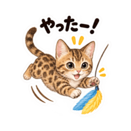 個性派にゃんこの日常 40種類 Slack・Teams・Discord カスタム絵文字 36