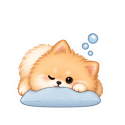 もふもふポメラニアン癒しスタンプ 40種類 Slack・Teams・Discord カスタム絵文字 11