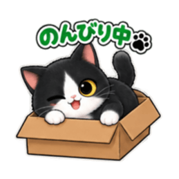 ハチワレ猫の毎日使えるスタンプ 40種類 Slack・Teams・Discord カスタム絵文字 21