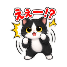 ハチワレ猫の毎日使えるスタンプ 40種類 Slack・Teams・Discord カスタム絵文字 22