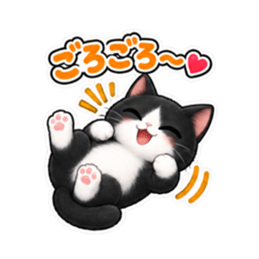 ハチワレ猫の毎日使えるスタンプ 40種類 Slack・Teams・Discord カスタム絵文字 36