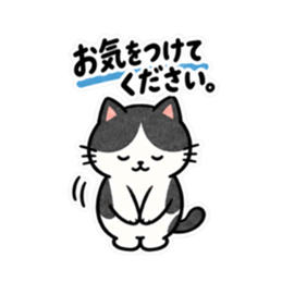 仕事みたいに返すハチワレねこ｜敬語返信 Slack・Teams・Discord カスタム絵文字 35
