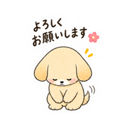心配しすぎる世話焼き犬。心配わんこ40種類 Slack・Teams・Discord カスタム絵文字 34