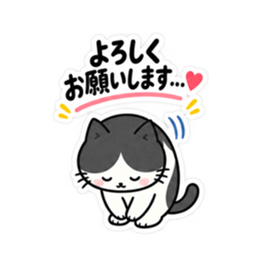 おせっかいですみません。仕事ねこ 40種類 Slack・Teams・Discord カスタム絵文字 36