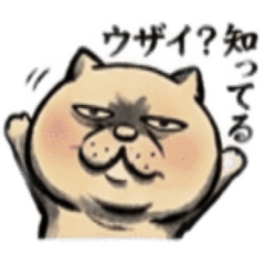 【でっぷりねこ】太々しい！日常シュール猫 - LINE スタンプ | LINE STORE