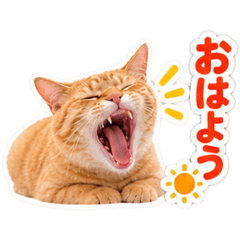 【全40種類】茶トラねこの毎日スタンプにゃ - LINE スタンプ | LINE STORE
